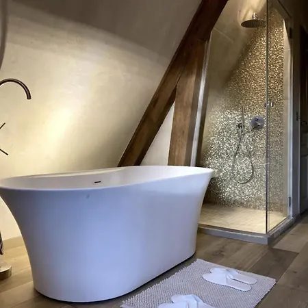 Les Copains D'abord Tourgeville